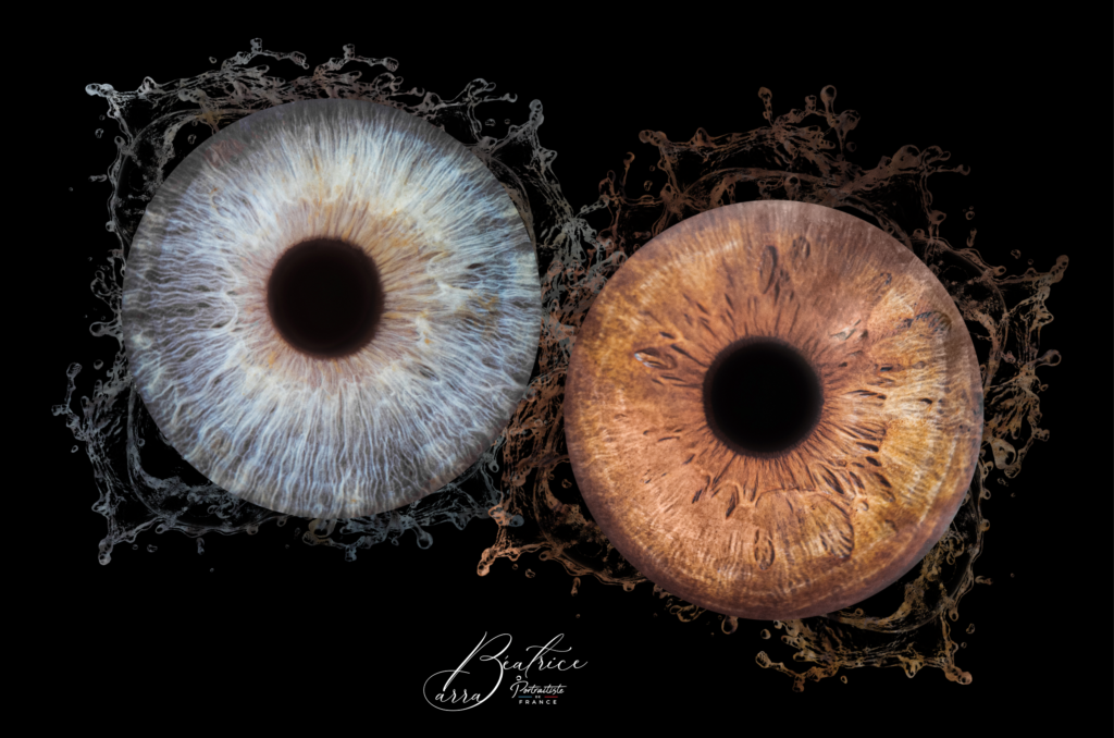 photographe-iris-regard-loire-beatrice-carra.jpg